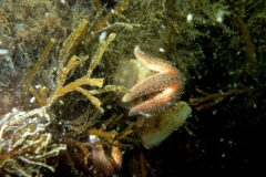 DSCF3840
