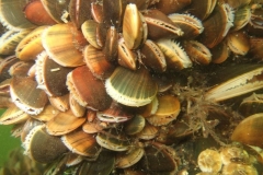 DSCF7709