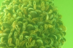 DSCF7710