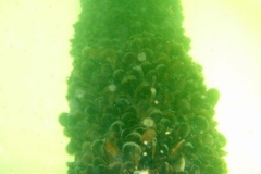 DSCF7711