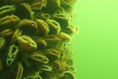 DSCF7730