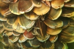 DSCF7741