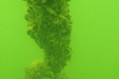 DSCF7757