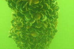 DSCF7759