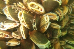 DSCF7771