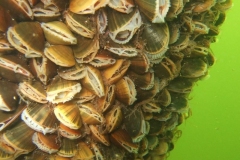 DSCF7783