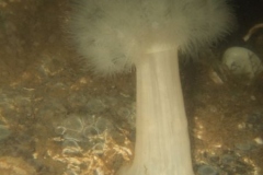 DSCF0191