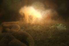 DSCF0270