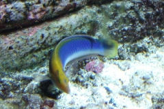 DSCF9615