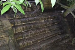 DSCF9650