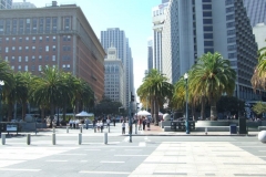 DSCF8523