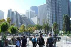 DSCF8528