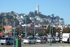 DSCF8536