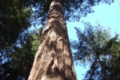 DSCF8900