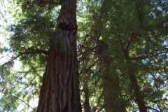 DSCF8902