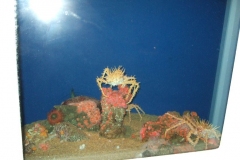 DSCF9215