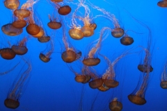 DSCF9380