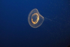 DSCF9382