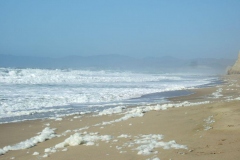 DSCF9503