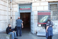 DSCF9545