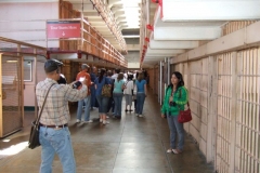 DSCF9546