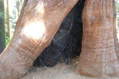 DSCF9597