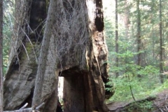 DSCF9598