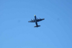 DSCF9828
