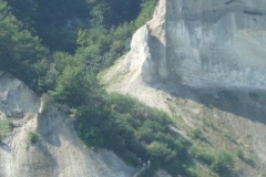 DSCF1549