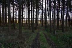 DSC01910