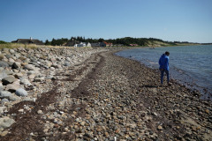 DSC03342