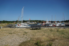 DSC03354