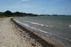 DSC03374