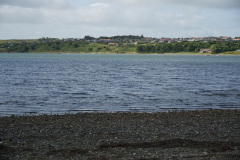 DSC03381