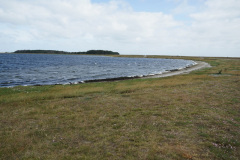 DSC03390
