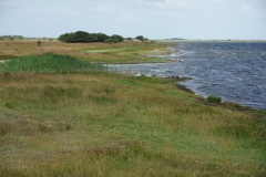 DSC03392