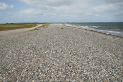 DSC03409