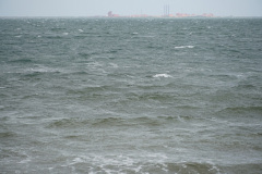 DSC03414