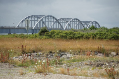 DSC03438