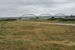 DSC03484