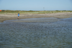 DSC03556