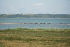 DSC03559
