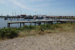DSC03579