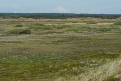 DSC03610
