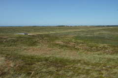 DSC03613