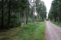 DSC03623