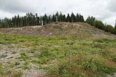 DSC03640