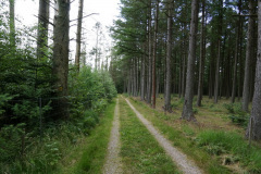 DSC03670