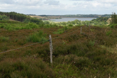 DSC03691