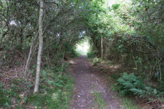 DSC03700